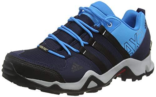 Adidas AX2 GTX - Zapatillas de Running para Hombre