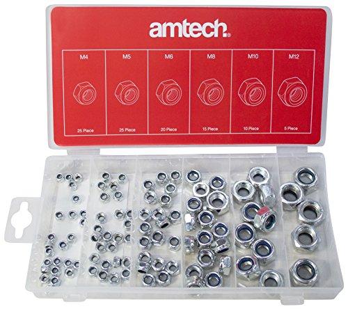 Am-Tech 100 piezas Surtido de tuercas de bloqueo, S6220