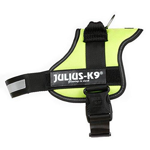 Julius K9 162KW-0 K9-Powerharness, Size 0 XS, Kiwi