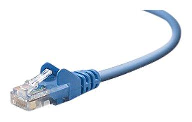Belkin Cat6 - Cable de Red (5 m, RJ45M/M, UTP, Snagless), Azul