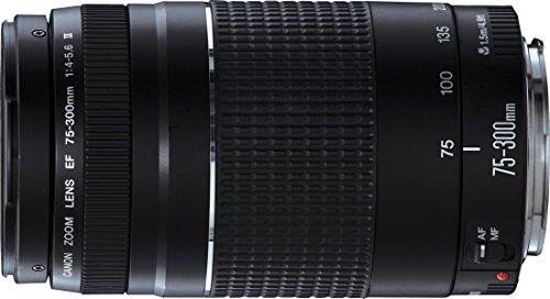 Canon 75-300 mm f/4-5.6 III - Objetivo para Canon (Zoom óptico 4X,diámetro: 58mm), Color Negro [Versión importada]