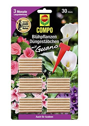 Compo 1206302004 - Fertilizar Varilla para Plantas de Flores, 30 Piezas