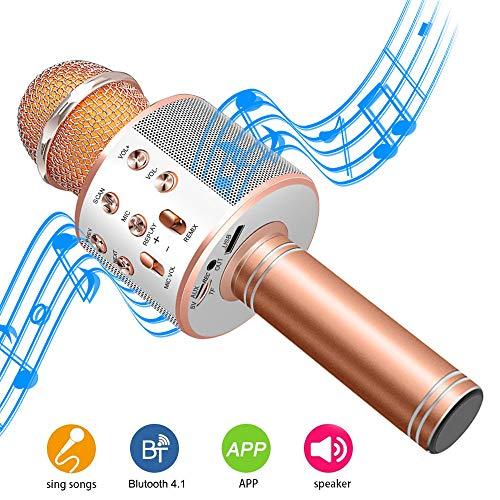 DAMIGRAM Bluetooth Karaoke Micrófono, Portátil Inalámbrica Micrófono y Altavoz del Karaoke de Bluetooth de 4,1 parlantes, para el Hogar KTV, Conectando con iOS, Sistema Android y Tabletas