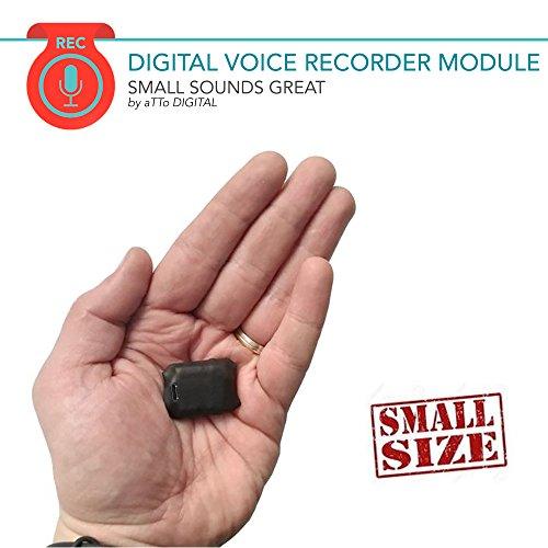 Mini Grabadora de Voz con Sensor Activado por Voz, Memoria Incorporada de 8GB para 572 Horas de Grabación, 20 horas Duración de la Batería