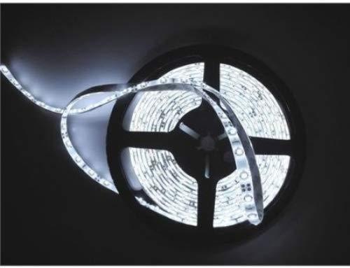 JnDeeTM - Tira de luces led flexible de 5 metros con 300 ledes de 12 V CC, luz led blanco frío, ideal para cocinas, iluminación del hogar, bares, restaurantes