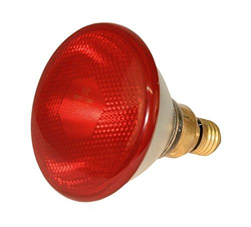 Kerbl 22246 lámpara de Calor 100 W, Rojo