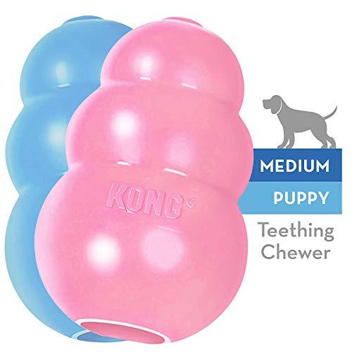 KONG - Puppy - Juguete de caucho natural para dentición - Cachorro M (colores pueden variar)