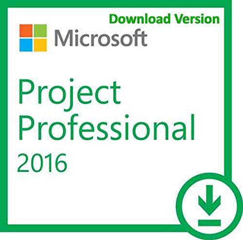 Microsoft Visio Professional 2016 Electronic Software Download (ESD))