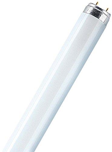 Osram L18W/830 - Lámpara (18W, G13, 1350 lm, A, 50 Hz, 59 cm) Color blanco