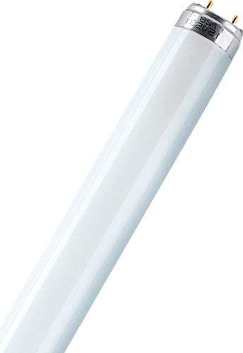 Osram L18W/865 Lámpara fluorescente G13, 18 W, Color Blanco