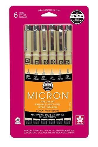 Sakura Finetek Pigma Micron Pen Set assortiti taglie 6/Pkg-nero