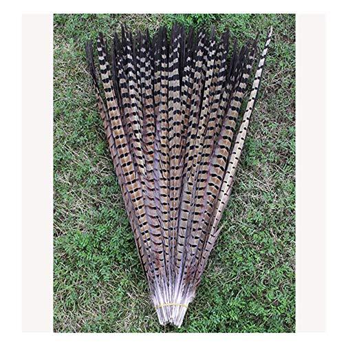 10 plumas de cola de faisán para manualidades o decoración