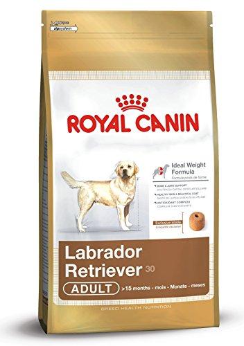 Royal Canin C-08905 S.N. Labrador 30 - 12 Kg