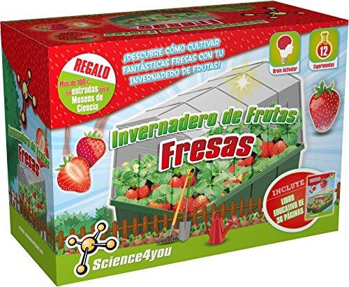 Science4you-Invernadero de Frutas-Fresas Juguete Educativo y Científico, (5600849488332)
