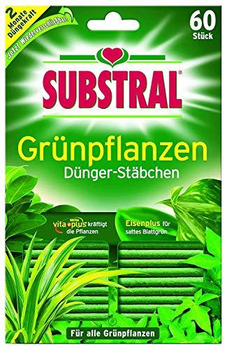 Substral - Fertilizante en varitas para plantas verdes (60 varitas)