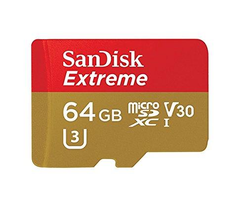 SanDisk Extreme SDSQXVF-064G-GN6AA - Tarjeta de Memoria microSDXC para cámaras de Deportes de acción (64 GB, Velocidad hasta 90 MB/s, Class 10 y U3 y V30)