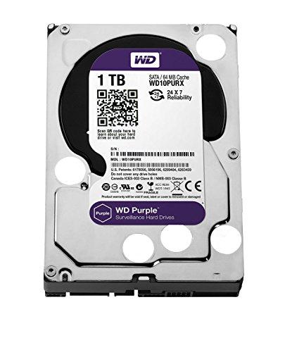 WD Purple - Disco duro para videovigilancia de 1 TB (Intellipower, SATA a 6 Gb/s, 64 MB de caché, 3,5")